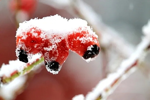 判斷財運的關(guān)鍵 判斷財運的關(guān)鍵