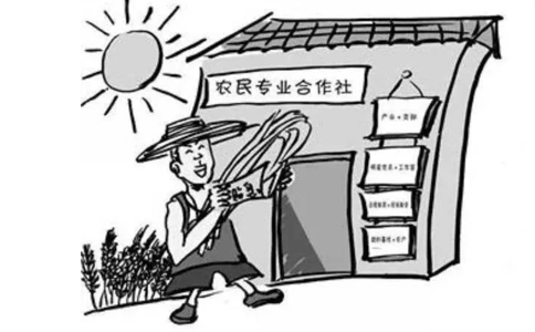 農(nóng)民專業(yè)合作社屬于企業(yè)法人嗎？農(nóng)民專業(yè)合作社的概念
