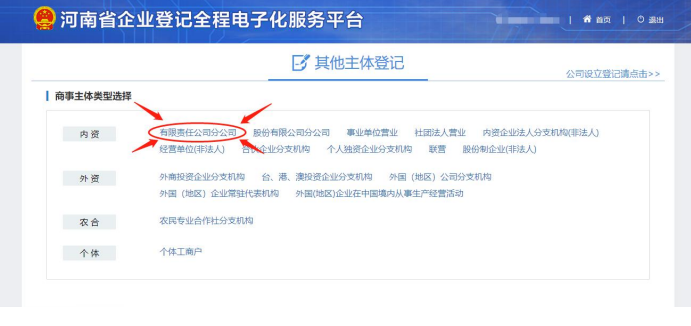 河南省營業(yè)執(zhí)照網(wǎng)上申報(bào)選擇有限責(zé)任分公司注冊