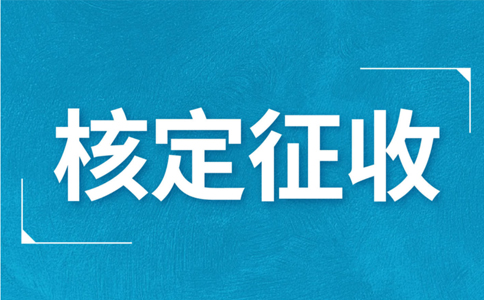 江西大額個(gè)體戶核定征收標(biāo)準(zhǔn)，2024年最新政策